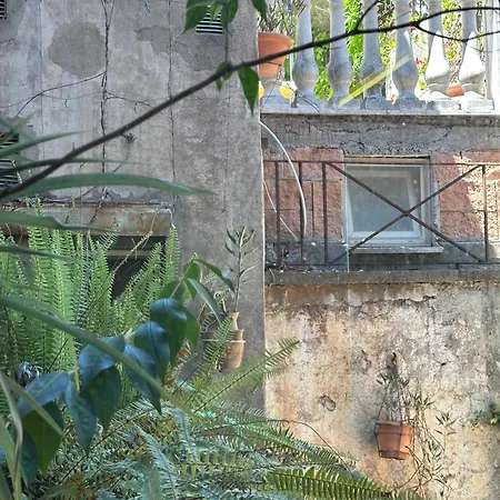 Architect Designed Trendy Flat By Colosseum